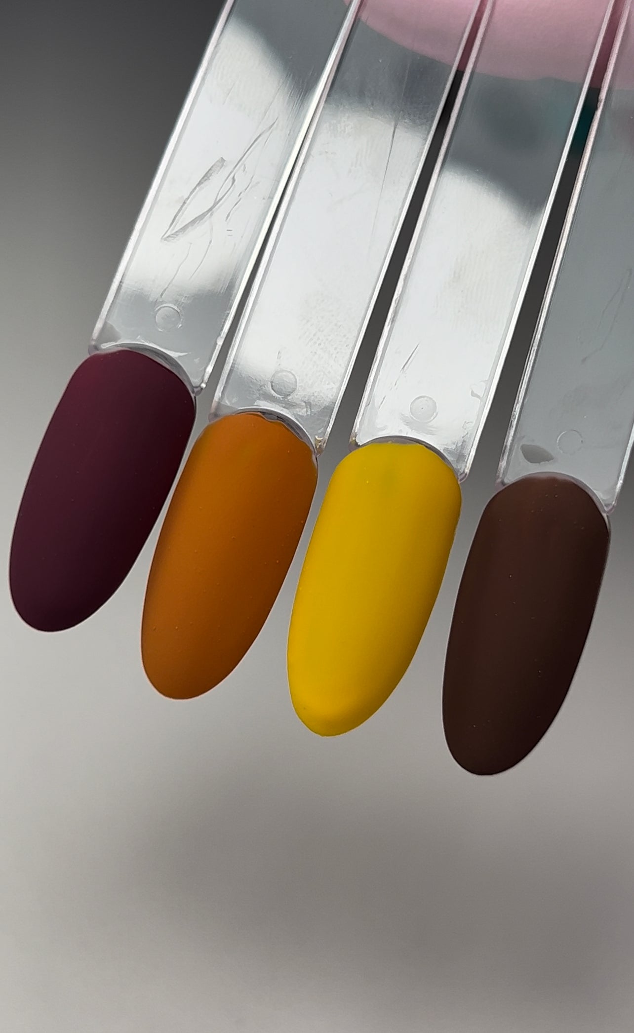 Cocoa Gel Color
