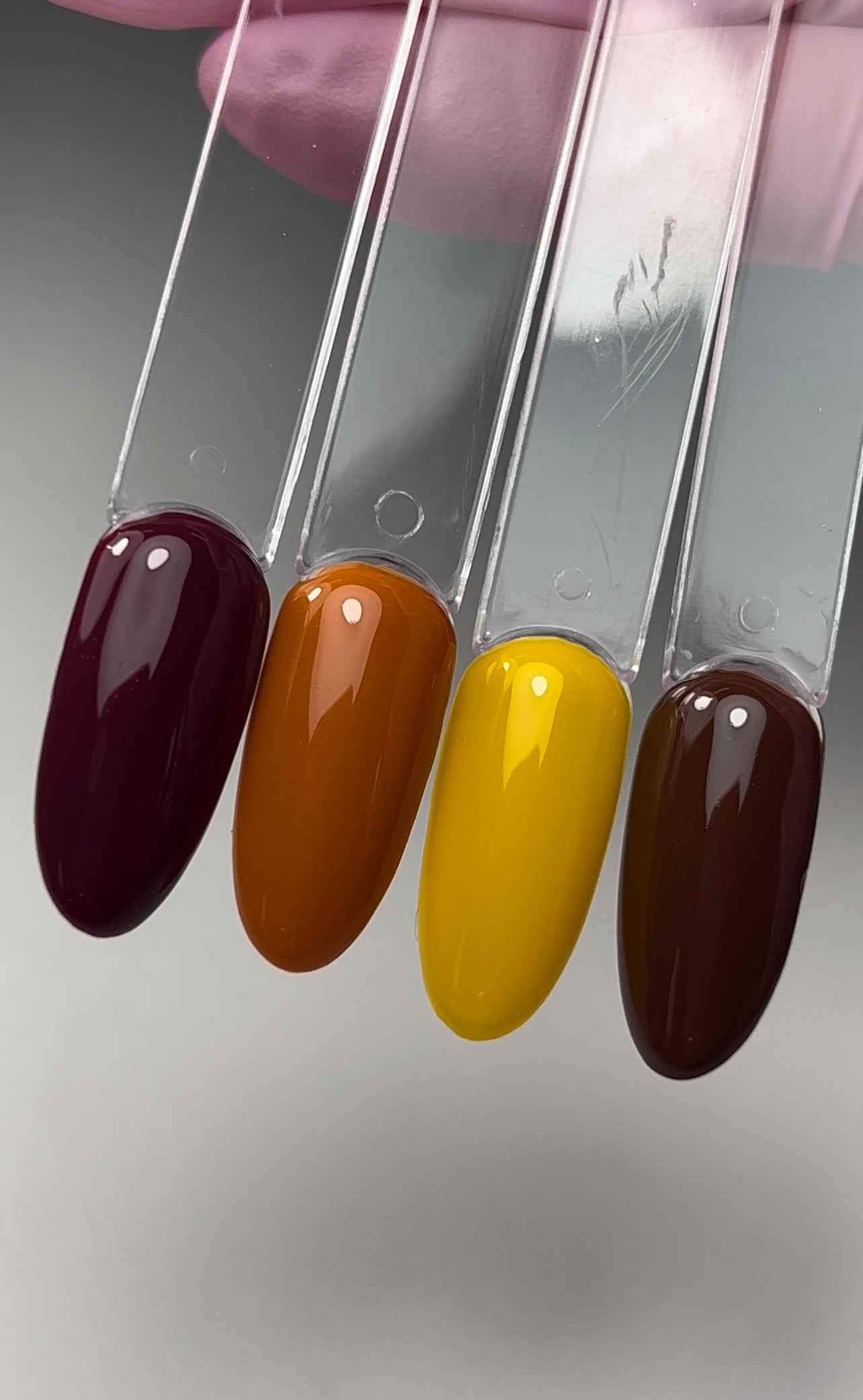Cocoa Gel Color